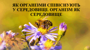 Як організми співіснують у середовищі