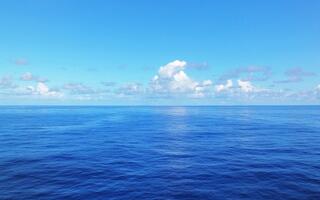 0600wwwj-13ad-320x200.jpg