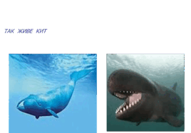 0600x0no-d054-268x188.png