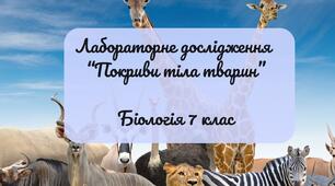 Лабораторне дослідження  “Покриви тіла тварин” Біологія 7 клас