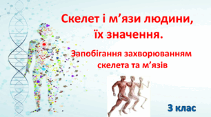 Презентація "Скелет і м'язи людини, їх значення. Запобігання захворюванням скелета та м язів. 3 клас"