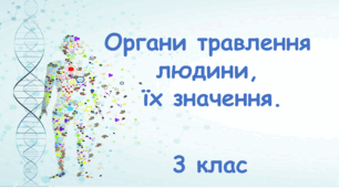 Презентація "Органи травлення  людини,  їх значення. 3 клас"