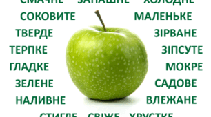 Відмінювання прикметників. Творення прикметників. Прикметникові суфікси