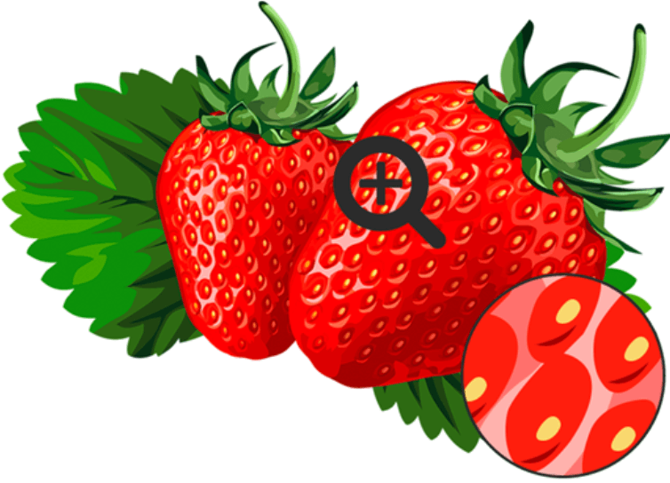 0600x3jg-2c44-754x544.png