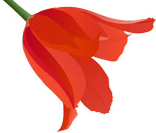 0600x3l3-a1e4-497x425.png