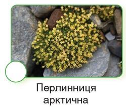0600x4m1-f8d6-249x212.jpg