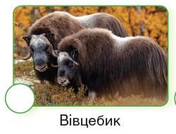 0600x4n2-81dd-250x191.jpg