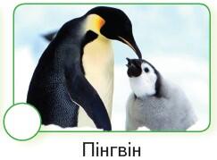 0600x4n9-8ded-243x179.jpg