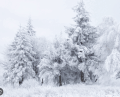 0600x50j-b164-240x194.png