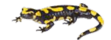 0600x6o1-9cf0-227x82.png