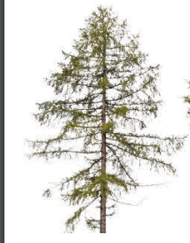 0600x6qi-360a-214x274.png