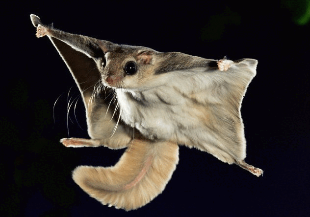 0600x8hn-ae0d-632x444.png