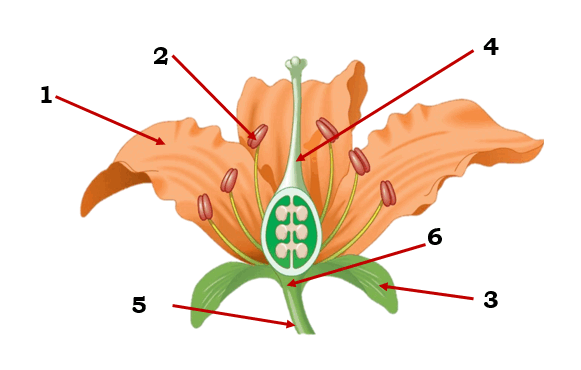 0600x8im-9d70-581x370.png