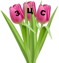 0600xceu-64c3-100x107.png