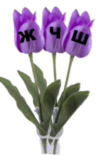 0600xcex-db54-100x155.png
