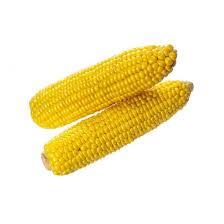 0600xd4i-6339-224x224.jpg