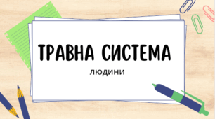 Презентація " Травна система"