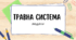 Презентація " Травна система"
