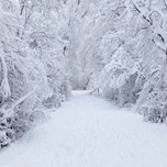0600xf26-ce60-152x152.png