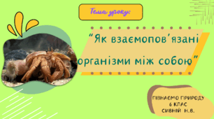 ПРЕЗЕНТАЦІЯ: " Як взаємопов’язані організми між собою” 6 КЛАС НУШ