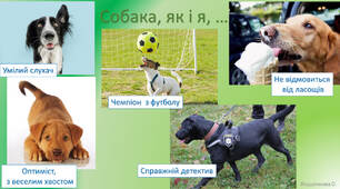Презентація "Метафоричні криголами" - унікальна техніка для налаштування на  урок