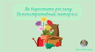 Демонстративний матеріал "Як виростити рослину"