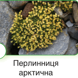 0600xn1u-3bb9-249x248.png