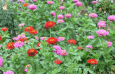 0600xomg-d7aa-164x106.png