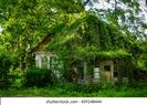 37,047 Overgrown House Images, Stock Photos, 3D objects, & Vectors | Shutterstock