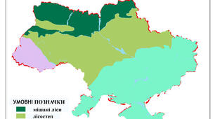 Природні зони України.