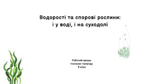 Робочий аркуш "Водорості та спорові рослини"