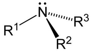 Аміни
