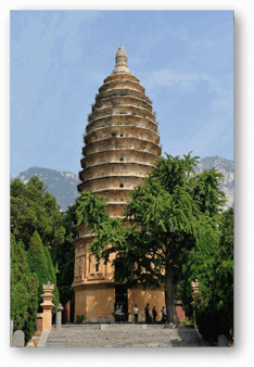 0600xt8v-f241-234x338.png