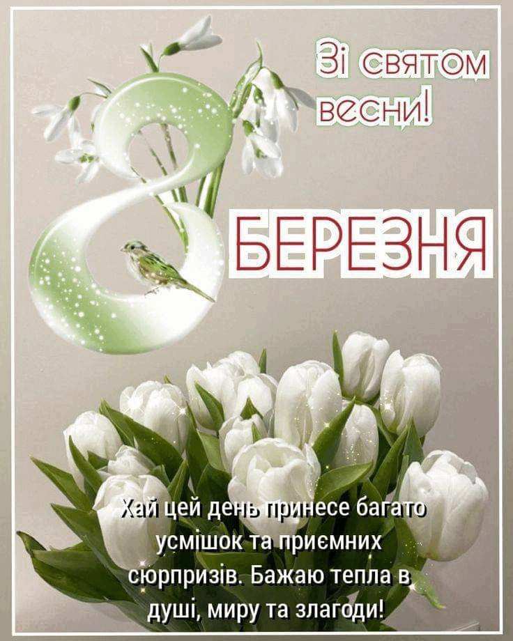 0600xv91-6795-736x920.png
