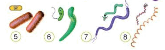 0600xxe8-e749-562x172.png