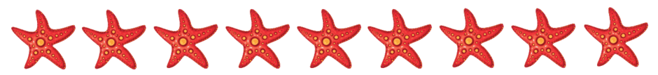 0600y005-2b05-940x108.png