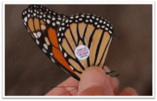 0600y0n5-72e3-222x143.png