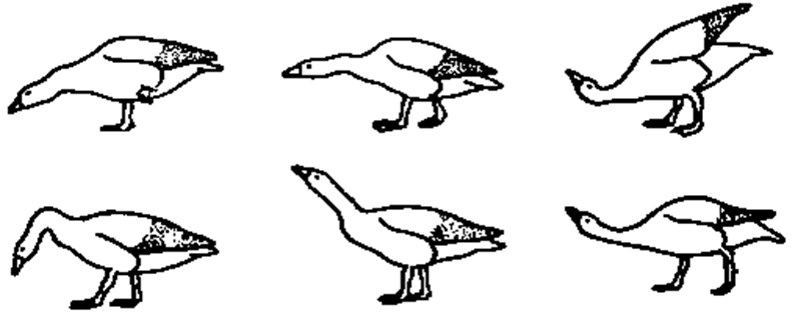 0600y0nt-f717-798x330.png