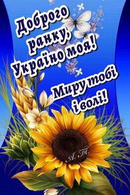 0600y0op-ad8e-262x394.jpg