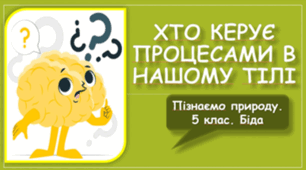 Хто керує процесами в нашому тілі
