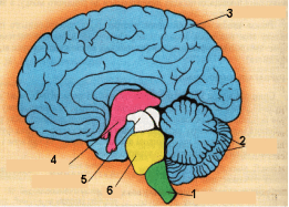 0600y1sv-b2cd-382x274.png
