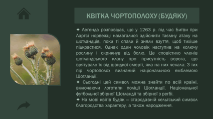 0600y240-54a1-425x239.png