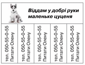 0600y497-a0b6-513x393.png