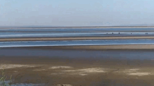 Взаємозв’язки в прісній водоймі, морі чи океані 6клас НУШ