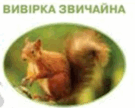 0600y4t0-add9-135x108.png