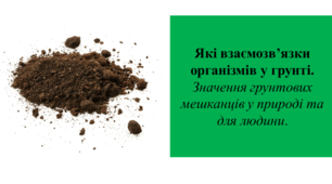 Презентація для 6 класу на тему " Які взаємозв’язки організмів у грунті.  Значення грунтових мешканців у природі та для людини" + Робоча картка "Організми що підтримують родючість"