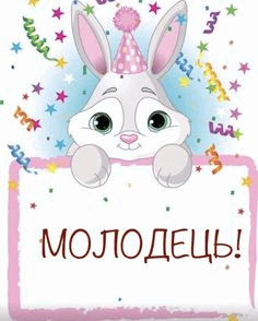 0600y8pl-98e0-236x294.png