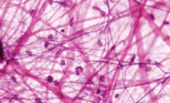 0600y8sk-d43a-154x93.png