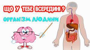 Організм людини