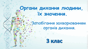 Презентація "Система органів дихання людини, її значення. Запобігання захворюванням органів дихання. 3 клас"